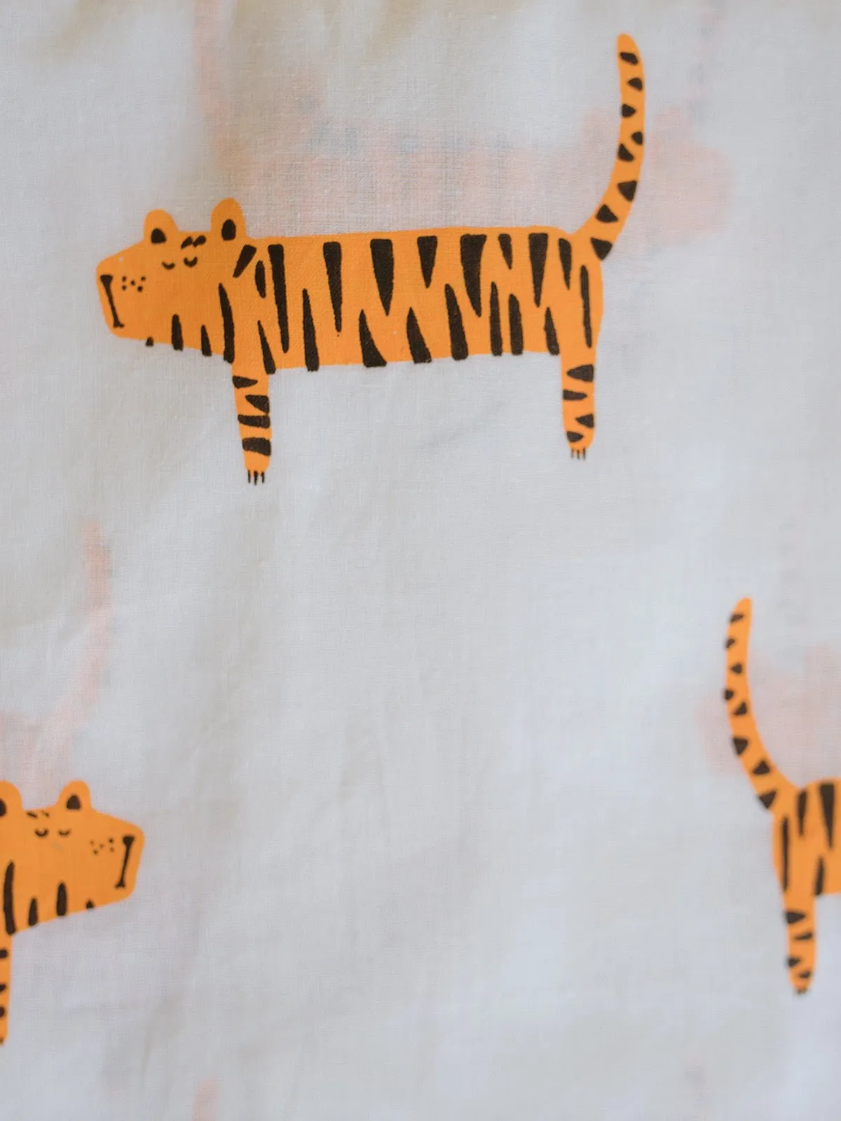 Augustus The Tiger